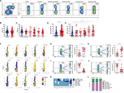 Cytotoxic B Cells in Relapsing-Remitting Multiple Sclerosis Patients